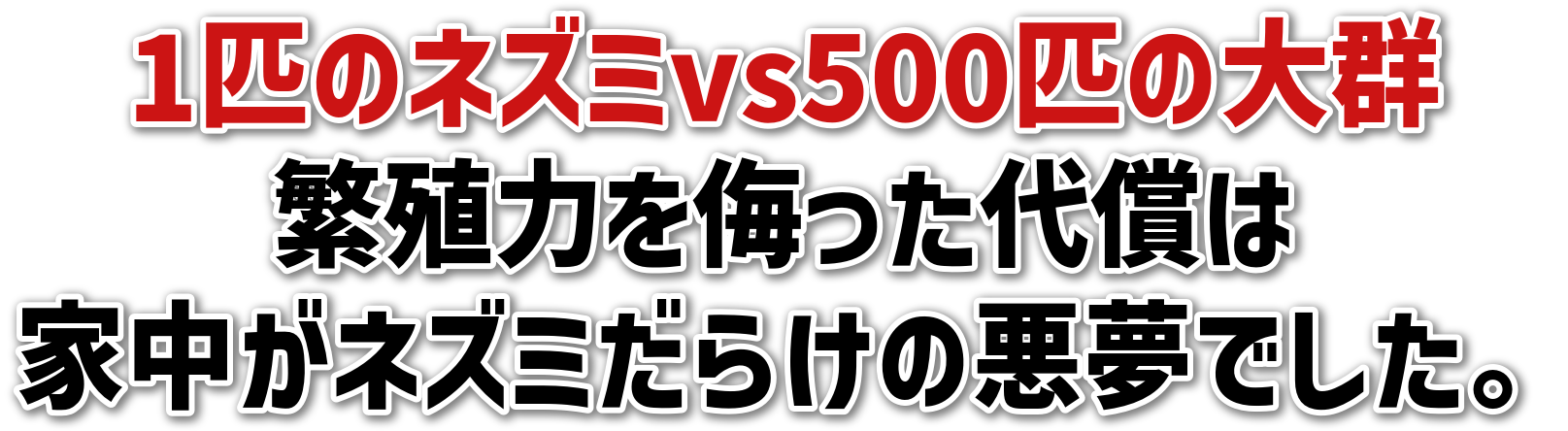 1C̃lY~vs500C̑Q<br>ɐB͂𕎂㏞<br>ƒlY~炯̈łB