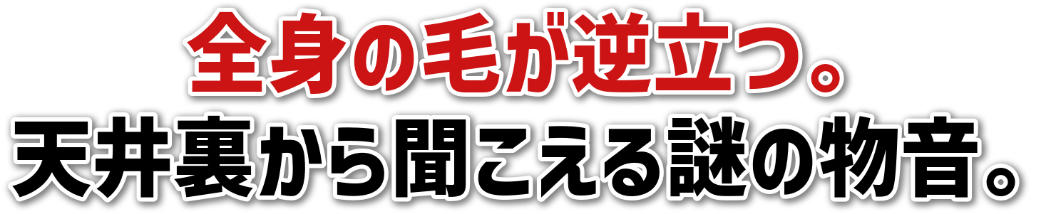 Sg̖тtB<br>V䗠畷̕B
