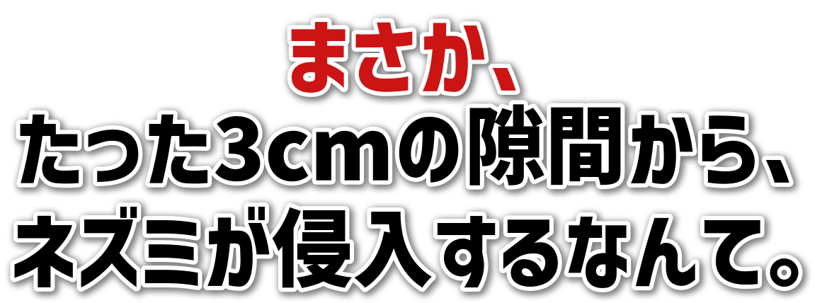 ܂A<br>3cm̌ԂA<br>lY~NȂāB