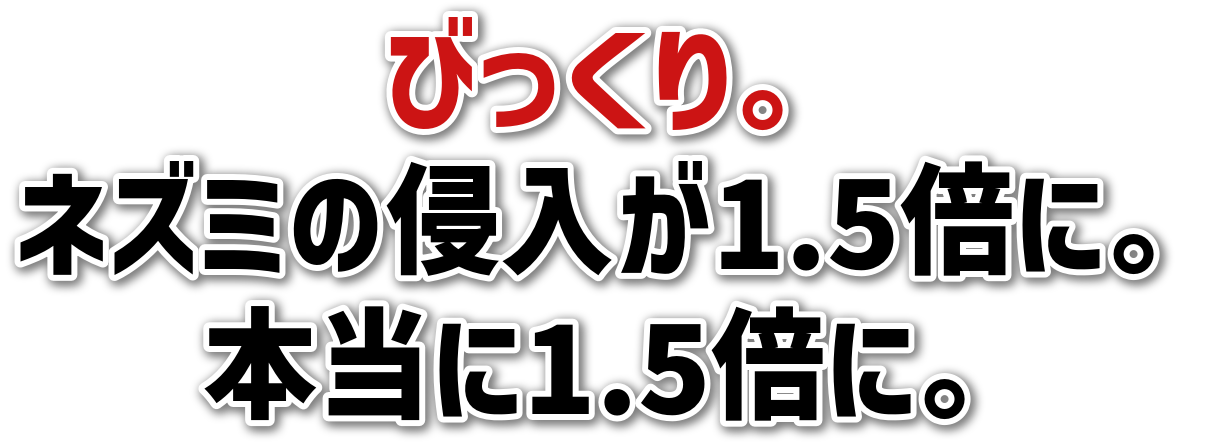 тB<br>lY~̐N1.5{ɁB<br>{1.5{ɁB