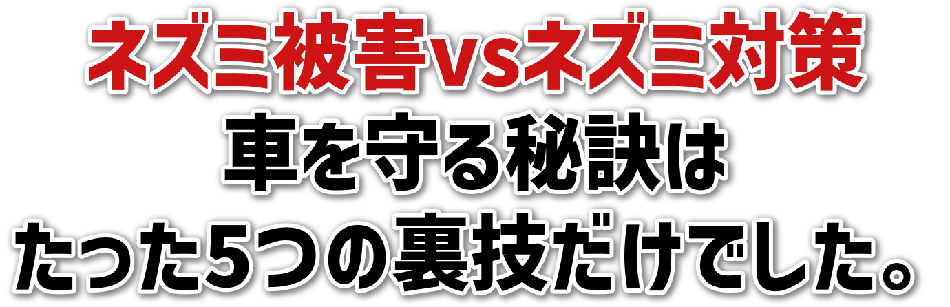 lY~QvslY~΍<br>Ԃ錍<br>5̗ZłB