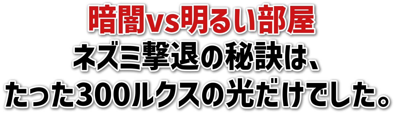 Èvs邢<br>lY~ނ̔錍́A<br>300NX̌łB