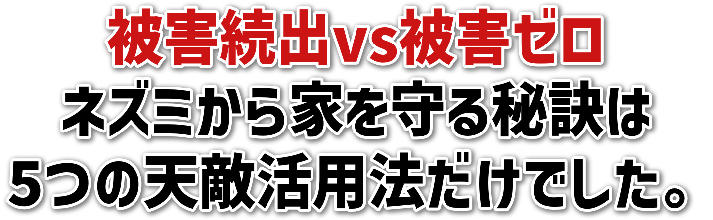 QovsQ[<br>lY~Ƃ錍<br>5̓VGp@łB