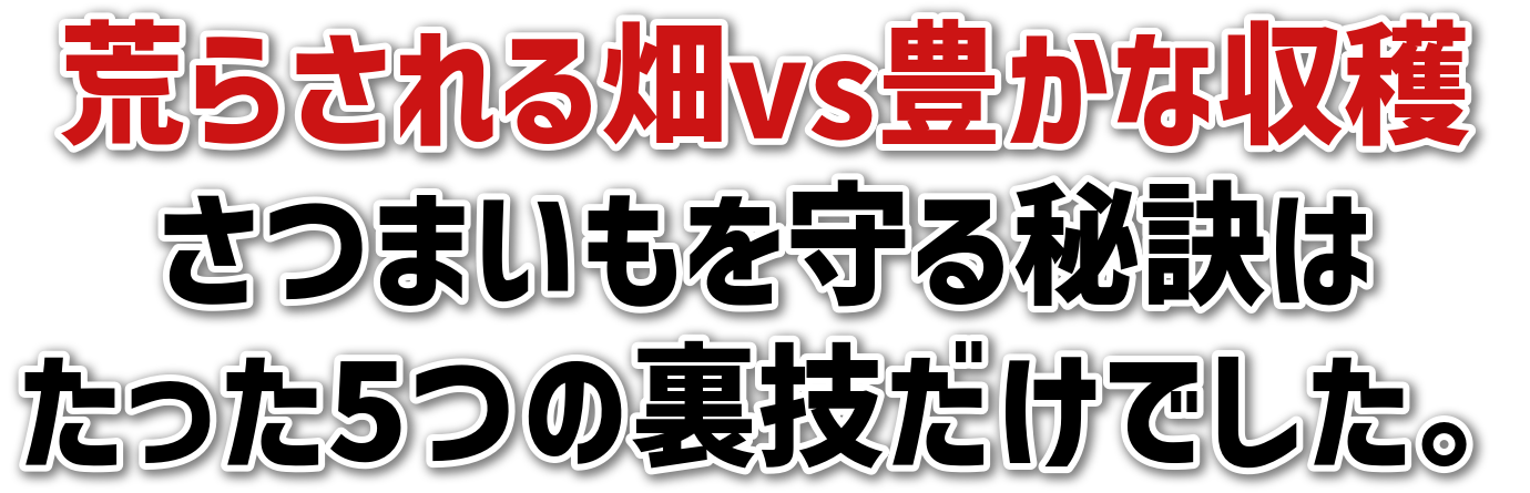 r炳锨vsLȎn<br>܂錍<br>5̗ZłB