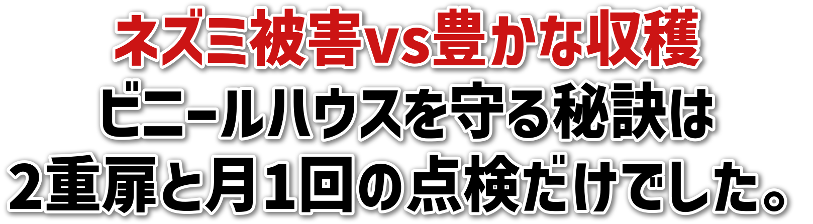 lY~QvsLȎn<br>rj[nEX錍<br>2dƌ1̓_łB